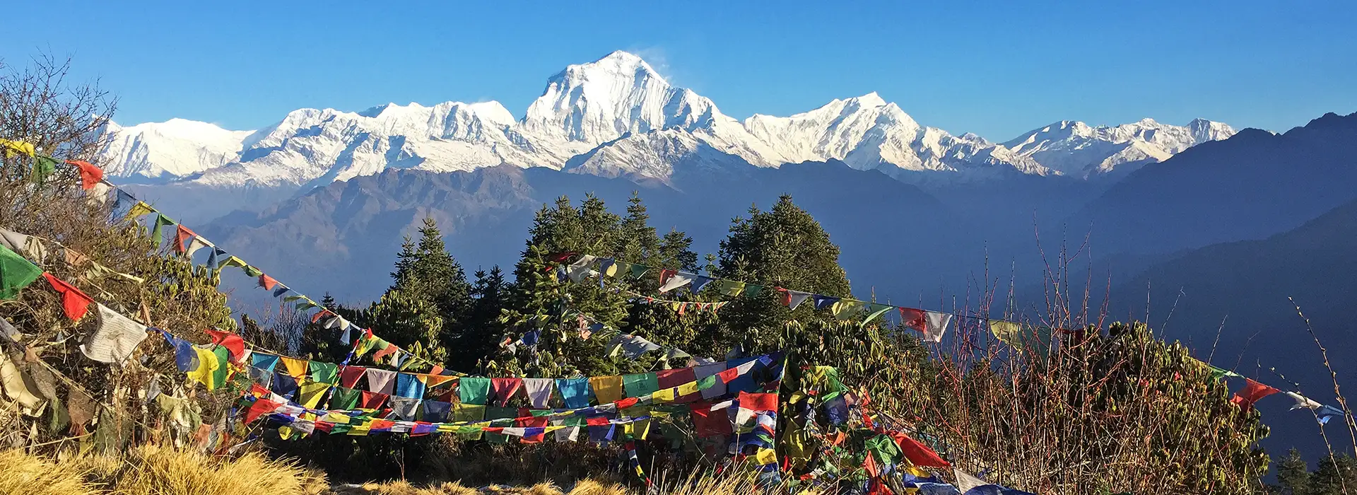 Panoramic Himalayan mountain view from Poon Hill summit, with colorful Buddhist prayer flags strung across the foreground.