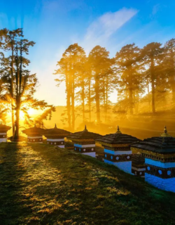 Dochula Pass with chortens glowing in golden sunrise light.