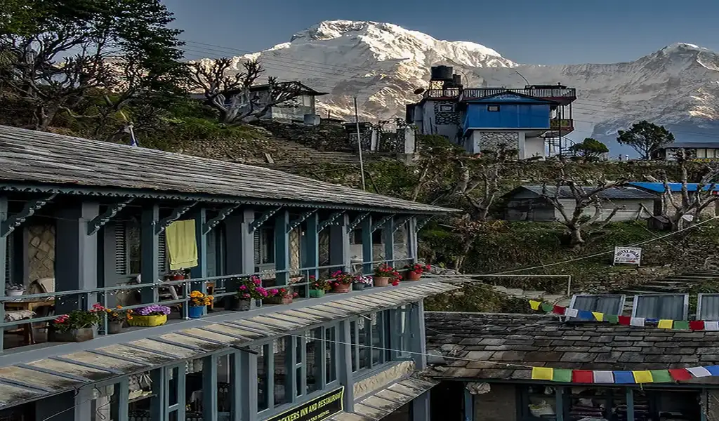 Traditional stone houses in Ghandruk village with snow-capped Annapurna mountains rising behind, showing a classic stop on the Annapurna region trek.