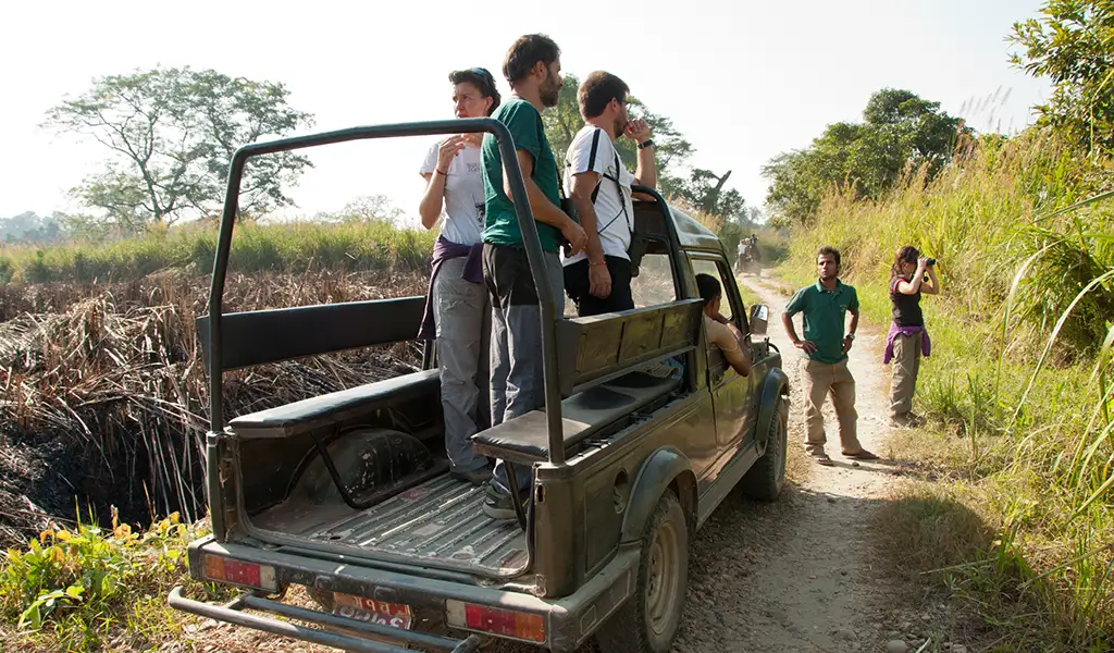 Tourists standing in an open jeep during a jungle safari in Chitwan National Park, Nepal, watching wildlife along a forest track.