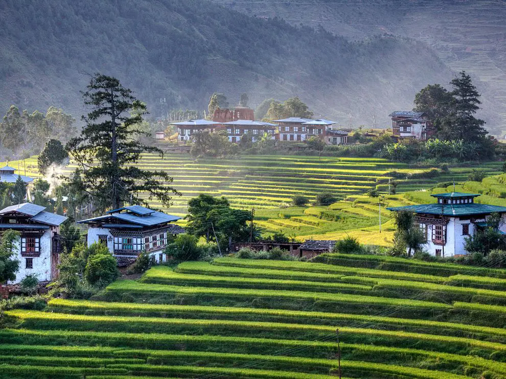 Traditional Bhutanese houses surrounded by green terraced fields and hills.