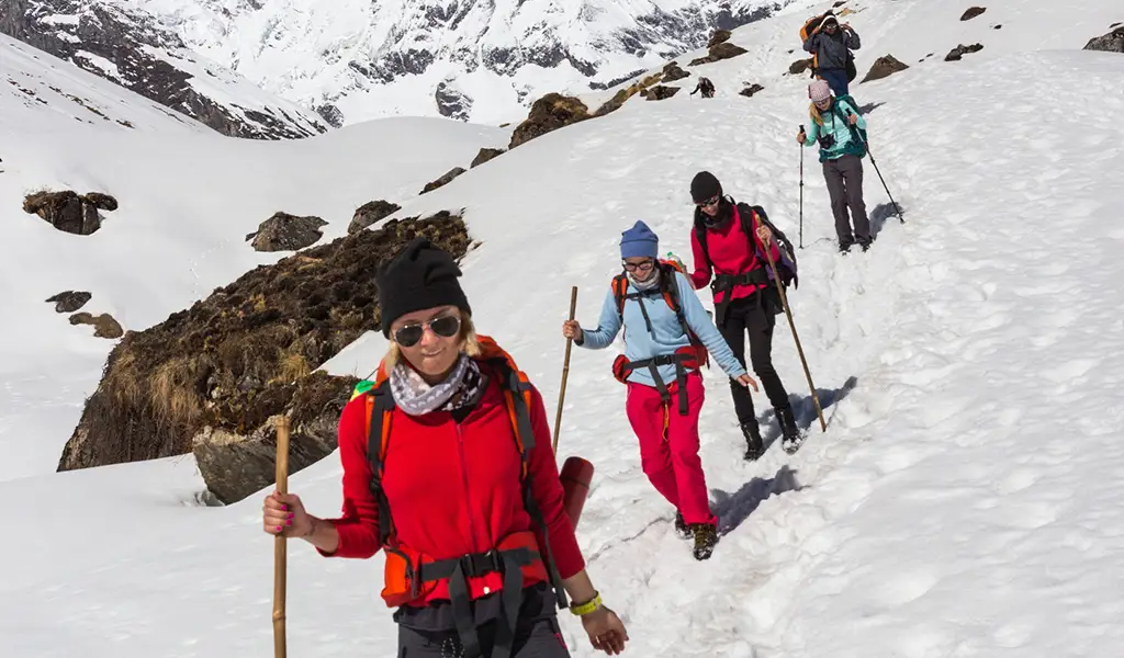 A group of trekkers walks in single file to cover a significant portion of the Annapurna Base Camp trek distance, using trekking poles as they pass by snow-covered peaks in the background.