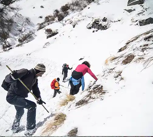Trekkers climbing a steep, snow-covered slope using trekking poles in the Annapurna region, showing physical effort and fitness needed for high-altitude trekking.