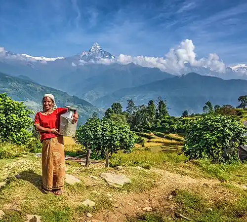 A local woman stands in a rural landscape holding a metal container, with green fields and snow-capped mountains in the background.
