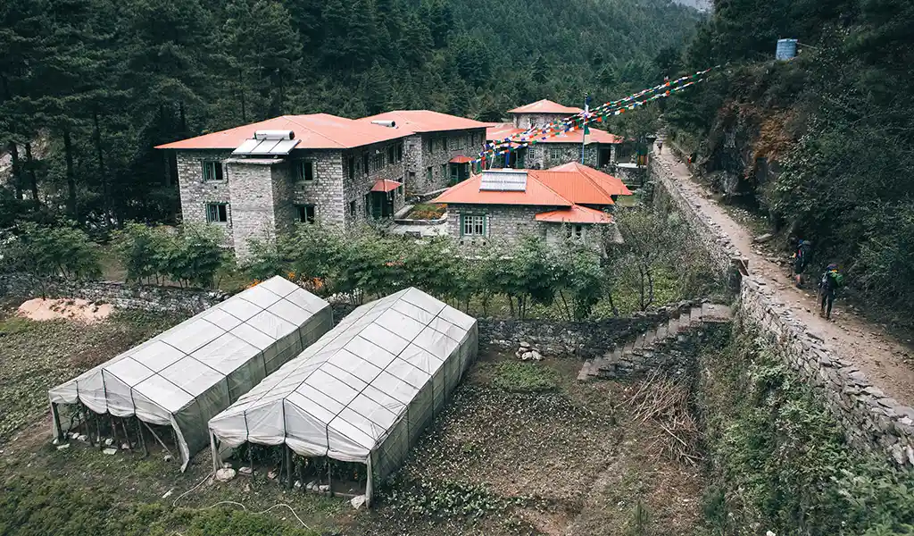 Stone lodges with red roofs in Phakding village, surrounded by pine forest and trekking trails along the Everest Base Camp route.