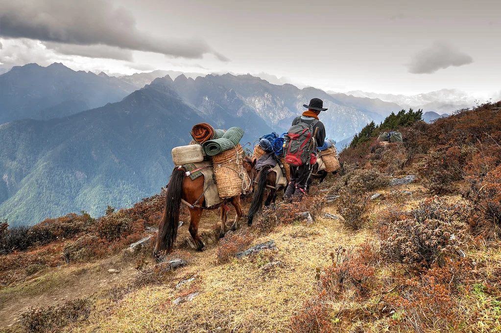 Druk Trek