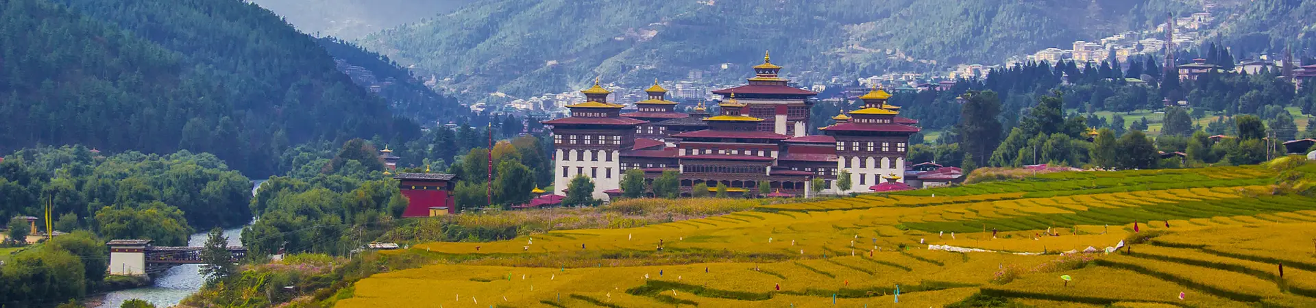 Traditional Bhutanese monastery in Thimphu Valley surrounded by green forested hills, Bhutan Travel Guide.
