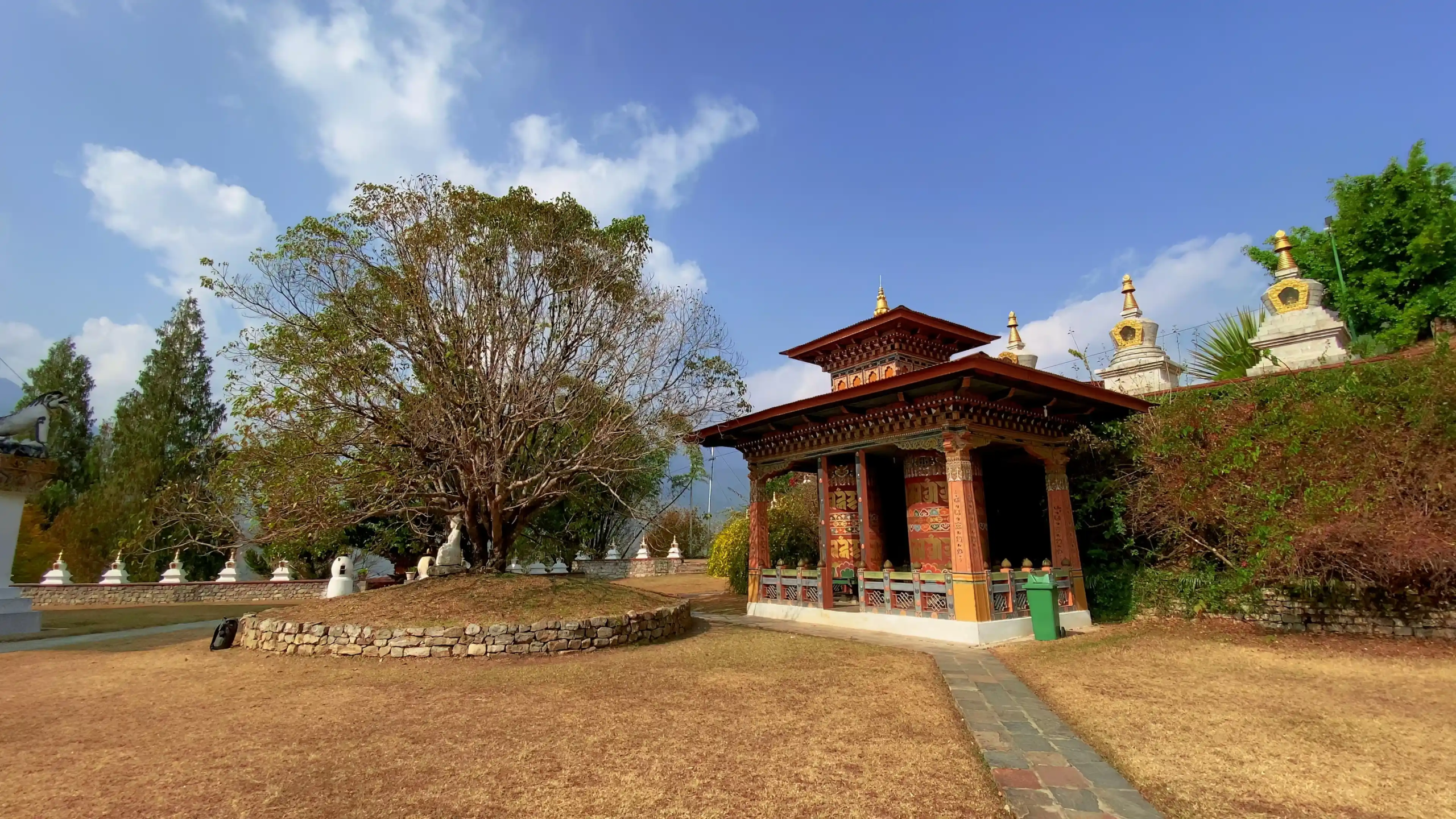 A colorful traditional Bhutanese pavilion with prayer wheels and a large Bodhi tree at the Khamsum Yulley Namgyal Chorten site seen after reading through the Punakha travel guide.
