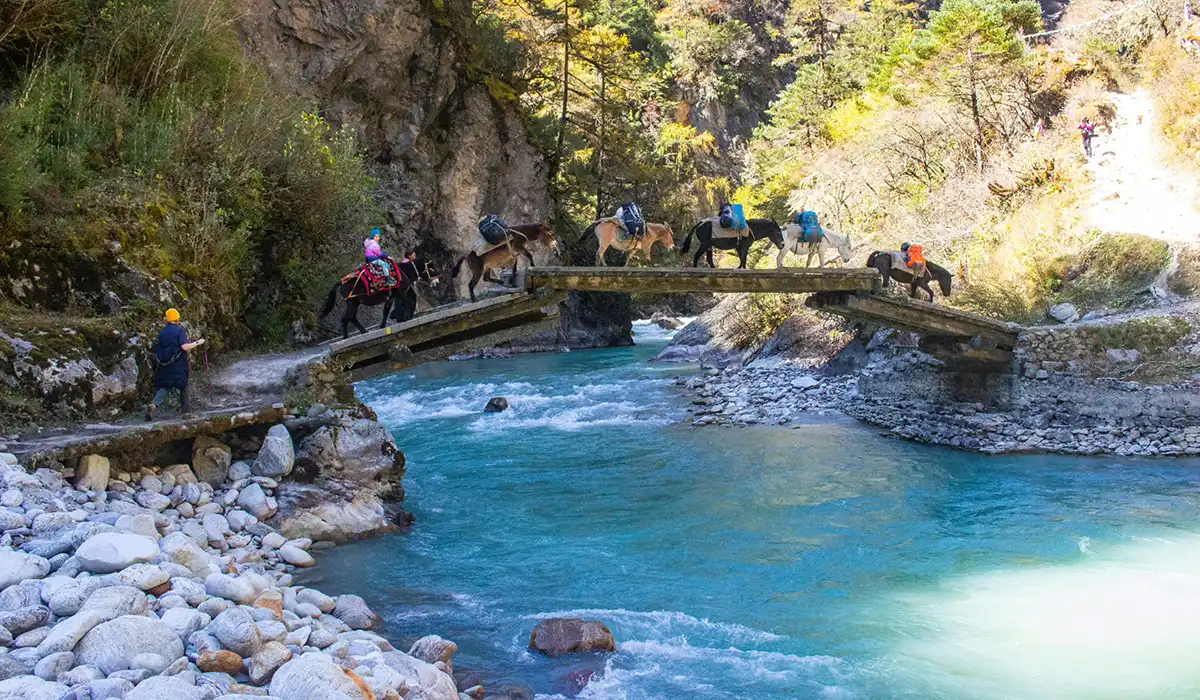 Pack horses crossing a wooden bridge over a turquoise river during a Bhutan trek, featured in Bhutan travel FAQs.