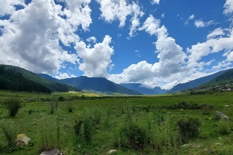 Wide landscape view of Nyelong Dechenling area in Phobjikha Valley Bhutan with green meadows and surrounding Himalayan mountains.