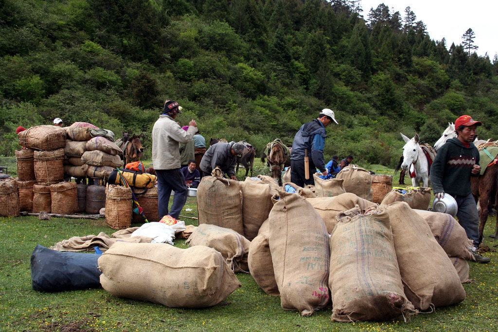 Porters and horses carrying supplies during Snowman Trek Bhutan expedition