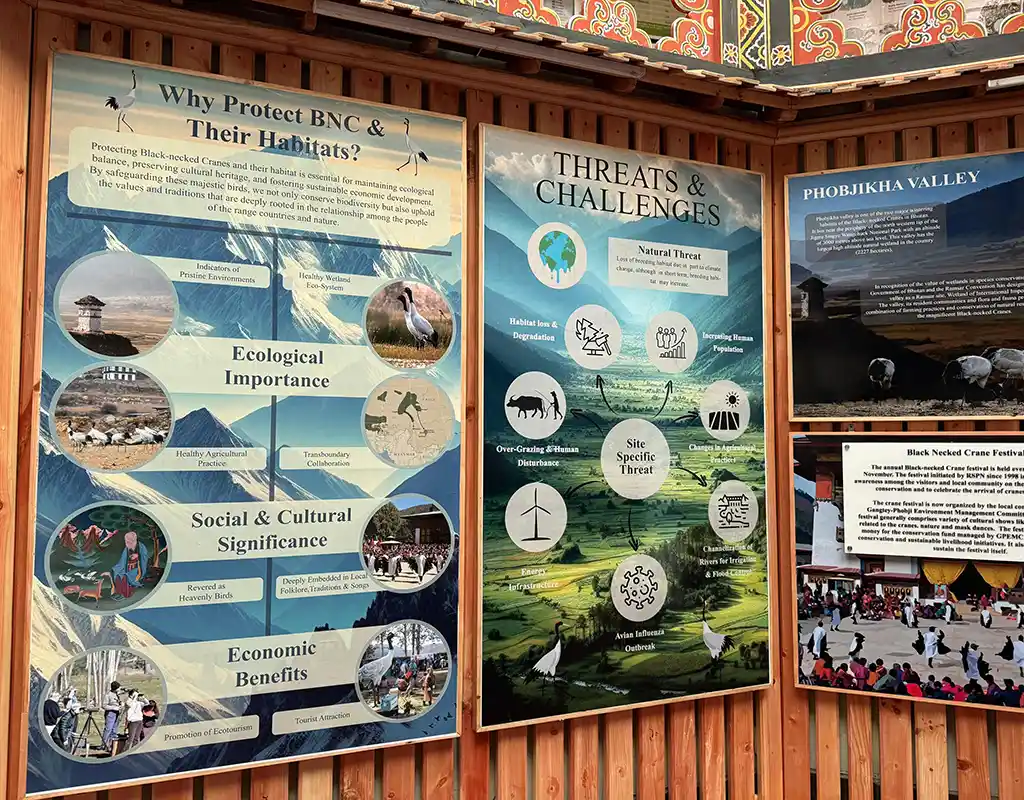 A traveler examines informative display boards about endangered birds at the Black-Necked Crane Visitor Centre, an essential stop for a Bhutan Wildlife and Nature Travel Guide.
