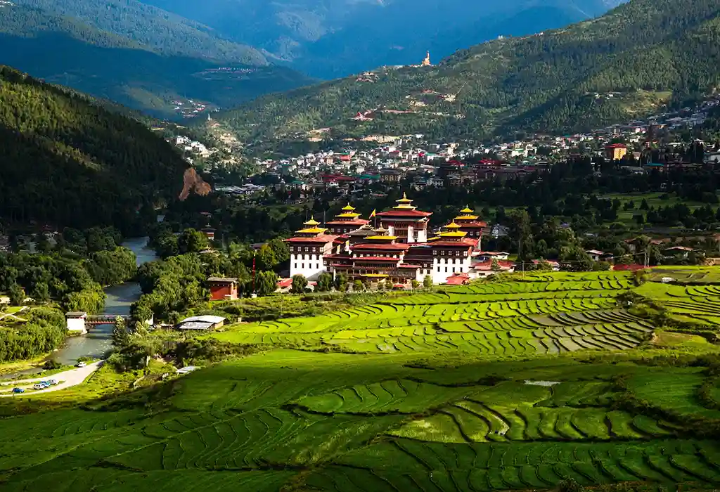 A wide view of Tashichho Dzong surrounded by vibrant green terraced rice fields, a key highlight of a Bhutan cultural tour.