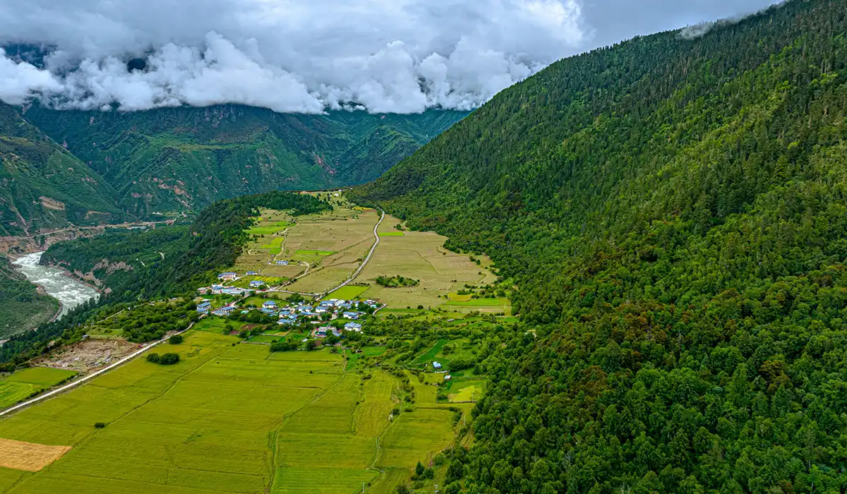 Lush green valley and forest landscape highlighting Eco-Friendly Travel in Bhutan and protected rural communities