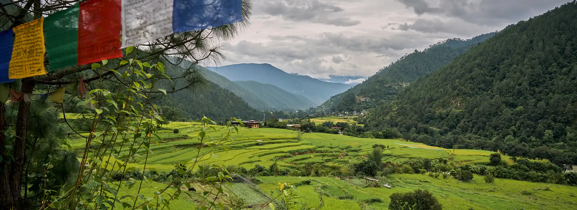 Scenic countryside landscape in Bhutan with prayer flags and terraced green fields showing peaceful rural views for Bhutan travel tips.