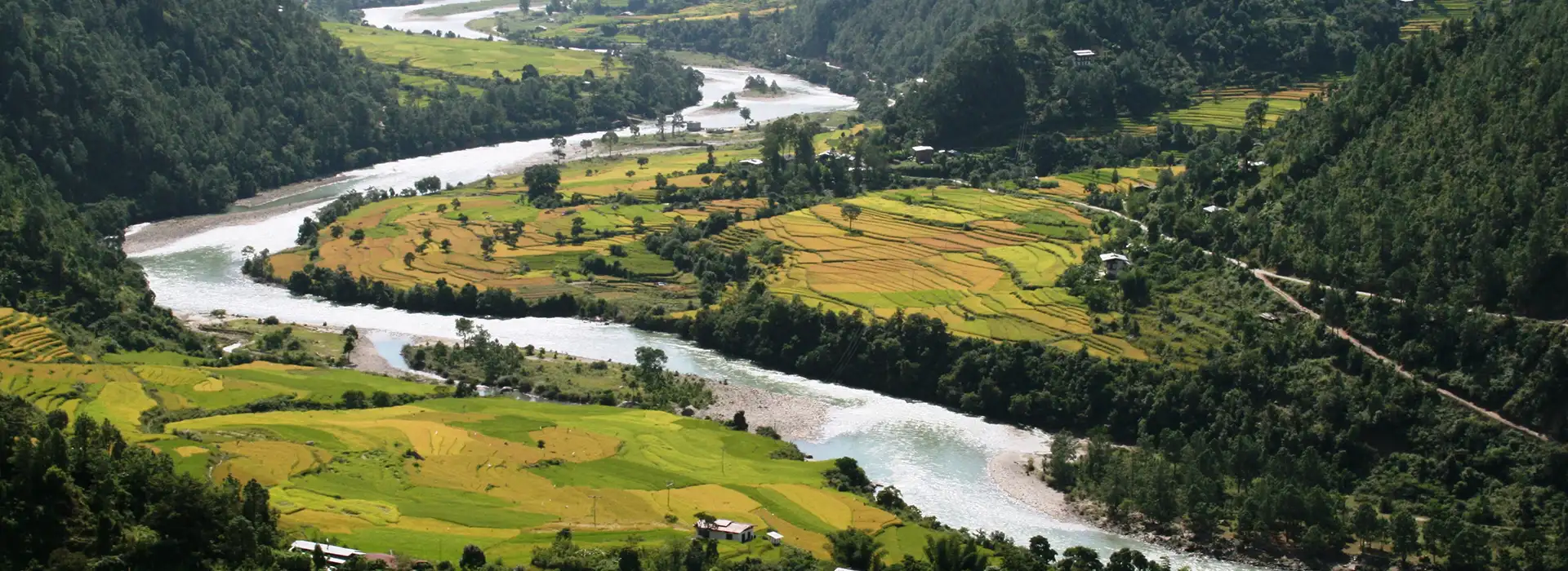 A wide panoramic shot of the Punakha Valley in Bhutan, showing vibrant green terraced rice fields, a winding river, and traditional Bhutanese houses under a soft mountain mist. According to the Bhutan travel guide, the best time to visit for these lush green views is during the summer/monsoon season (June to August), while the autumn (September to November) offers golden harvest colors and the clearest Himalayan skies.