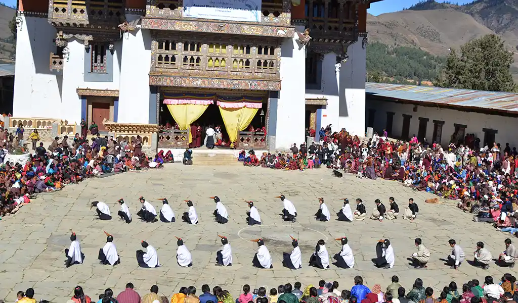 Black-Necked Crane Festival performance in Bhutan featured in the Bhutan Wildlife and Nature Travel Guide.