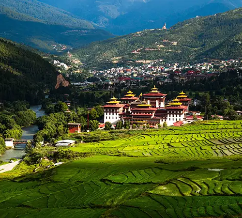 A sprawling view of the Thimphu valley in Bhutan featuring green terraced rice fields in the foreground and the Tashichho Dzong in the center, a landscape preserved through the Sustainable Development Fee (SDF).