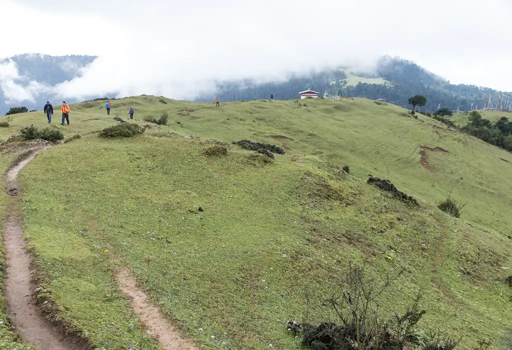 A group of hikers walking along a narrow dirt path on a grassy green ridge during a Druk path trek, with clouds hanging low over the surrounding forested mountains.