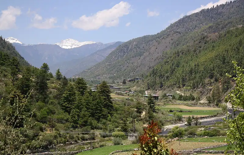 A wide view of the lush Haa Valley featuring traditional villages, pine forests, and distant snow-capped mountains, a highlight for any Bhutan travel guide.