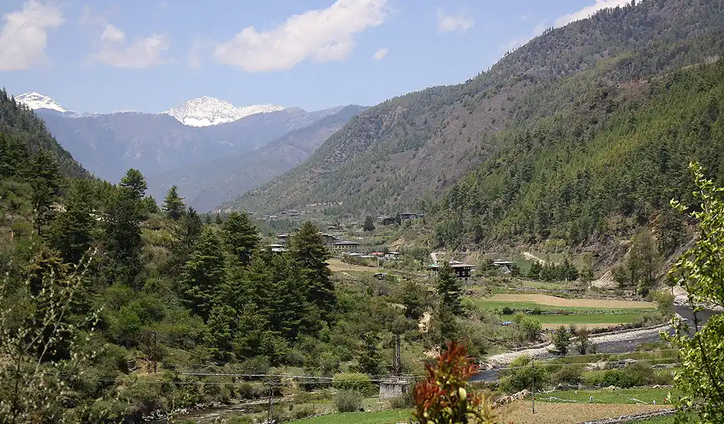 Haa Valley’s forested slopes, river, and distant snow peaks featured in the Bhutan Wildlife and Nature Travel Guide.