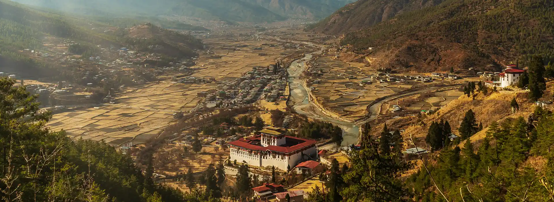 A panoramic view of the golden rice fields and traditional farmhouses in Paro Valley during the Paro Travel Guide.