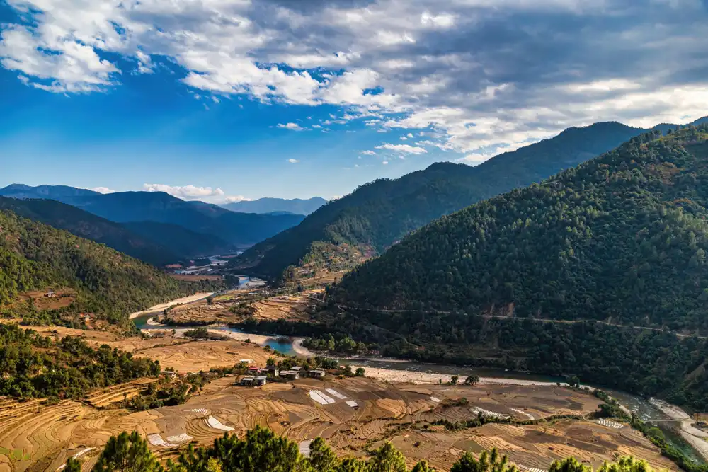 A wide-angle shot of the golden rice terraces and winding rivers of Punakha, a highlight of a professional Bhutan photography tour