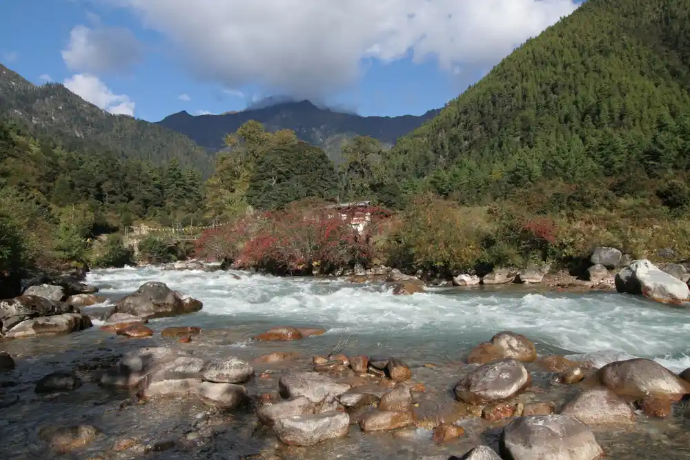 A vibrant Himalayan landscape featuring rare flora and mountain vistas, perfect for a Bhutan Wildlife and Nature Travel Guide.