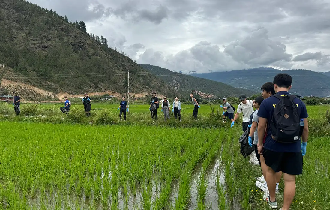 Travelers walking through green rice fields under cloudy skies, showing Bhutan's Weather in summer