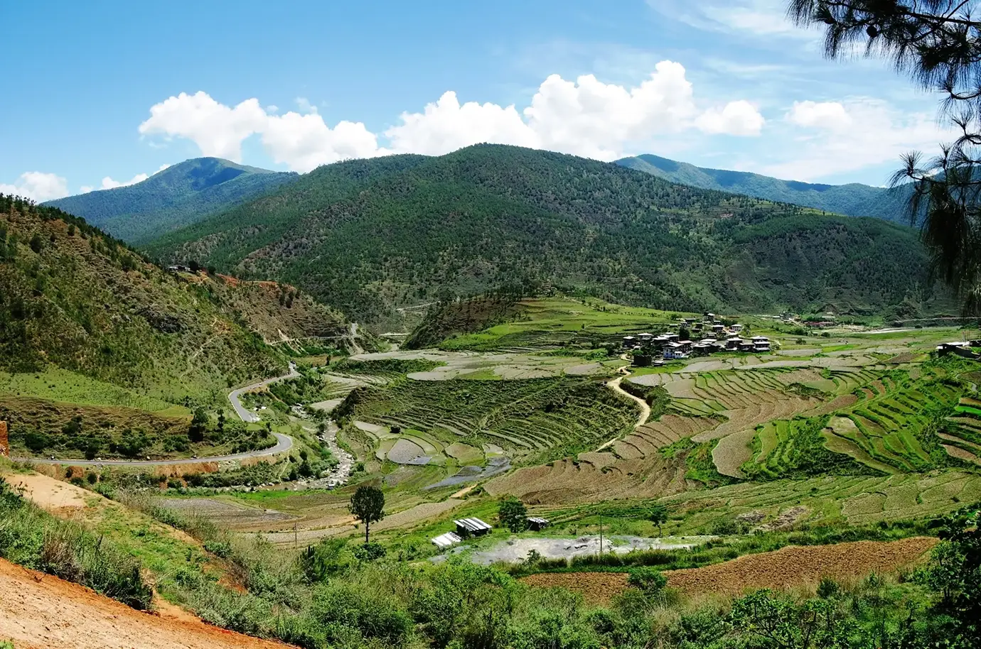 Scenic valley landscape with terraced farmland and winding mountain road near Trongsa, a beautiful view experienced during a Bhutan road trip.