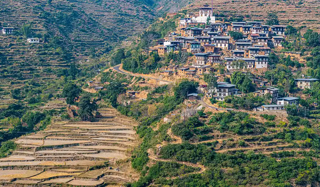 A view of the restored Wangdue Phodrang Dzong overlooking terraced rice fields, a significant landmark and one of the top places to visit in Bhutan.