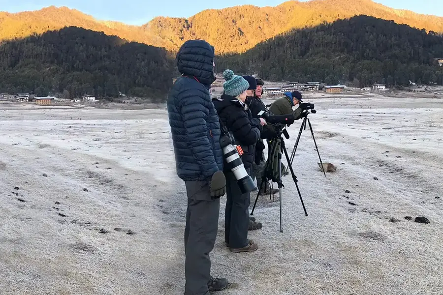 Wildlife photographers observing black-necked cranes in Phobjikha Valley Bhutan during early morning bird watching session.