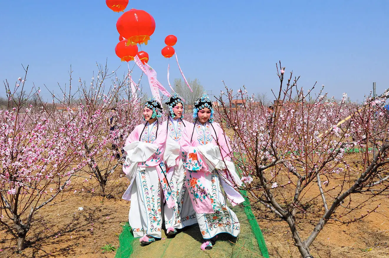 Three performers in traditional pink costumes walk through a blooming peach orchard during a festival. Most foreign travelers need a Tibet travel permit to visit this region.