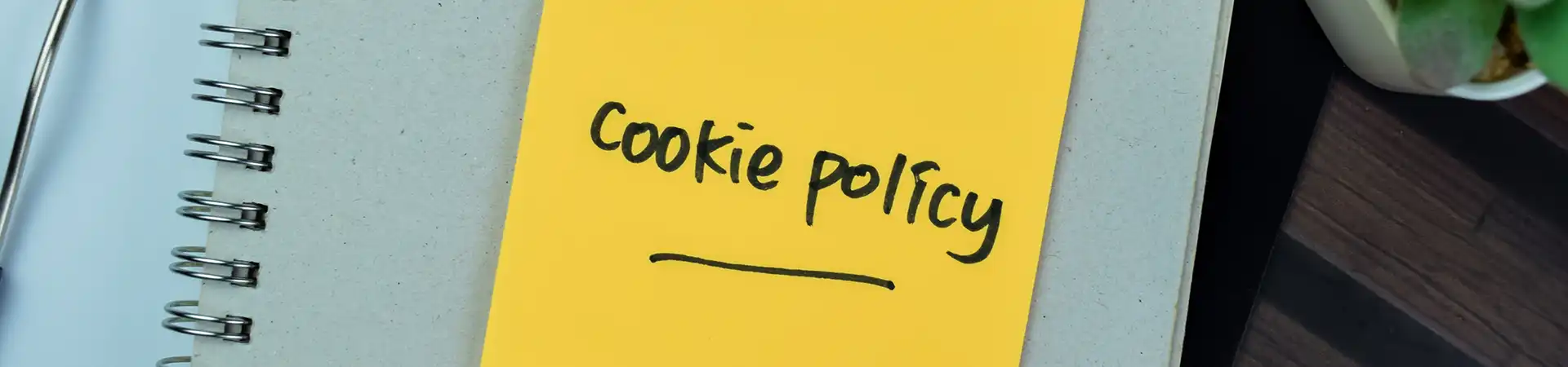 Privacy and Cookie Policy of Nepal Hiking Company