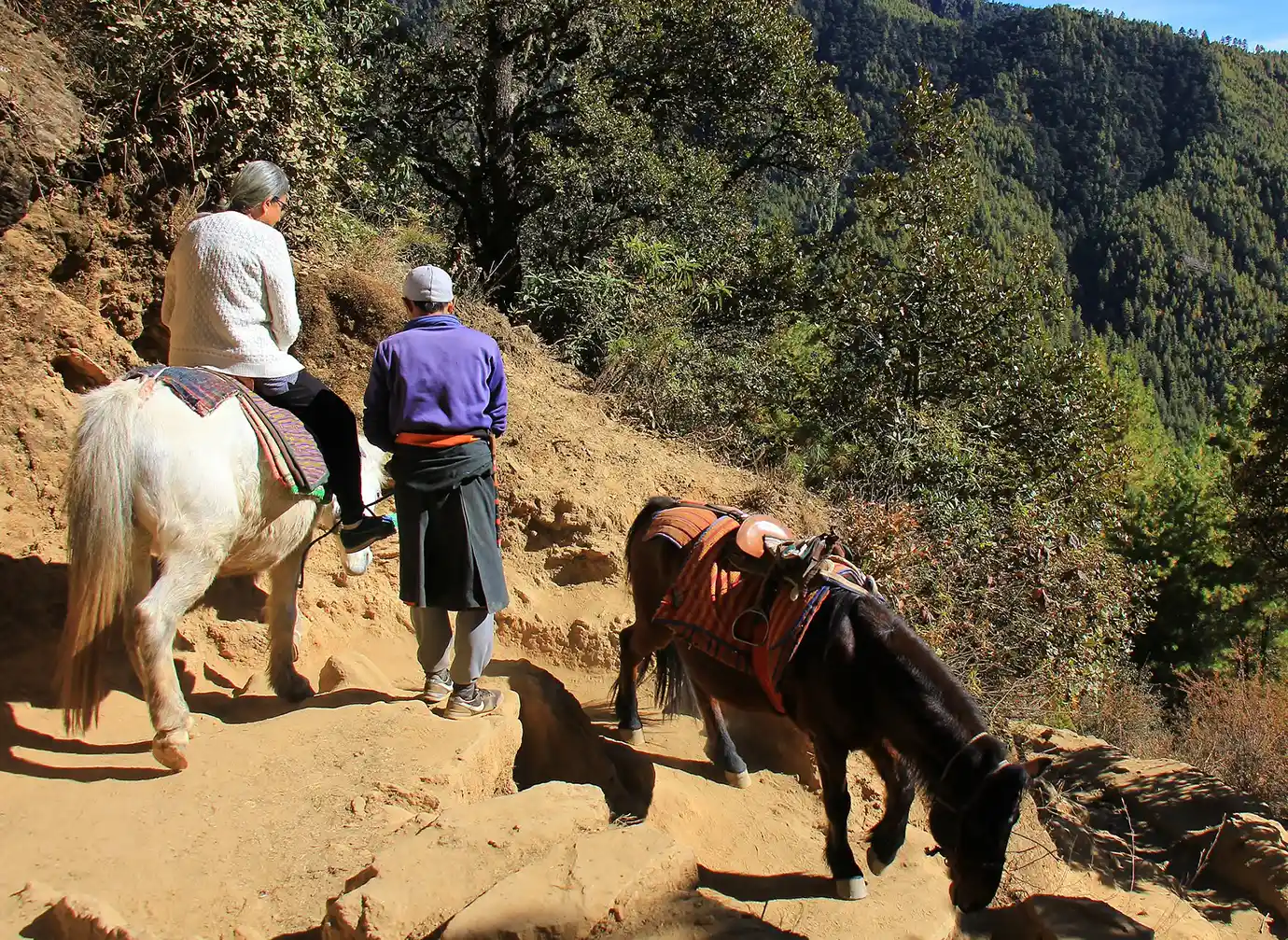 Traveler riding a pony along a mountain trail toward Tiger’s Nest Monastery in Bhutan, showing high-altitude trekking conditions where Bhutan Travel Insurance supports safe adventure travel.