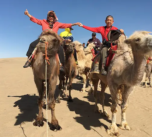 Travelers riding camels across desert landscapes during a Tibet adventure tour.