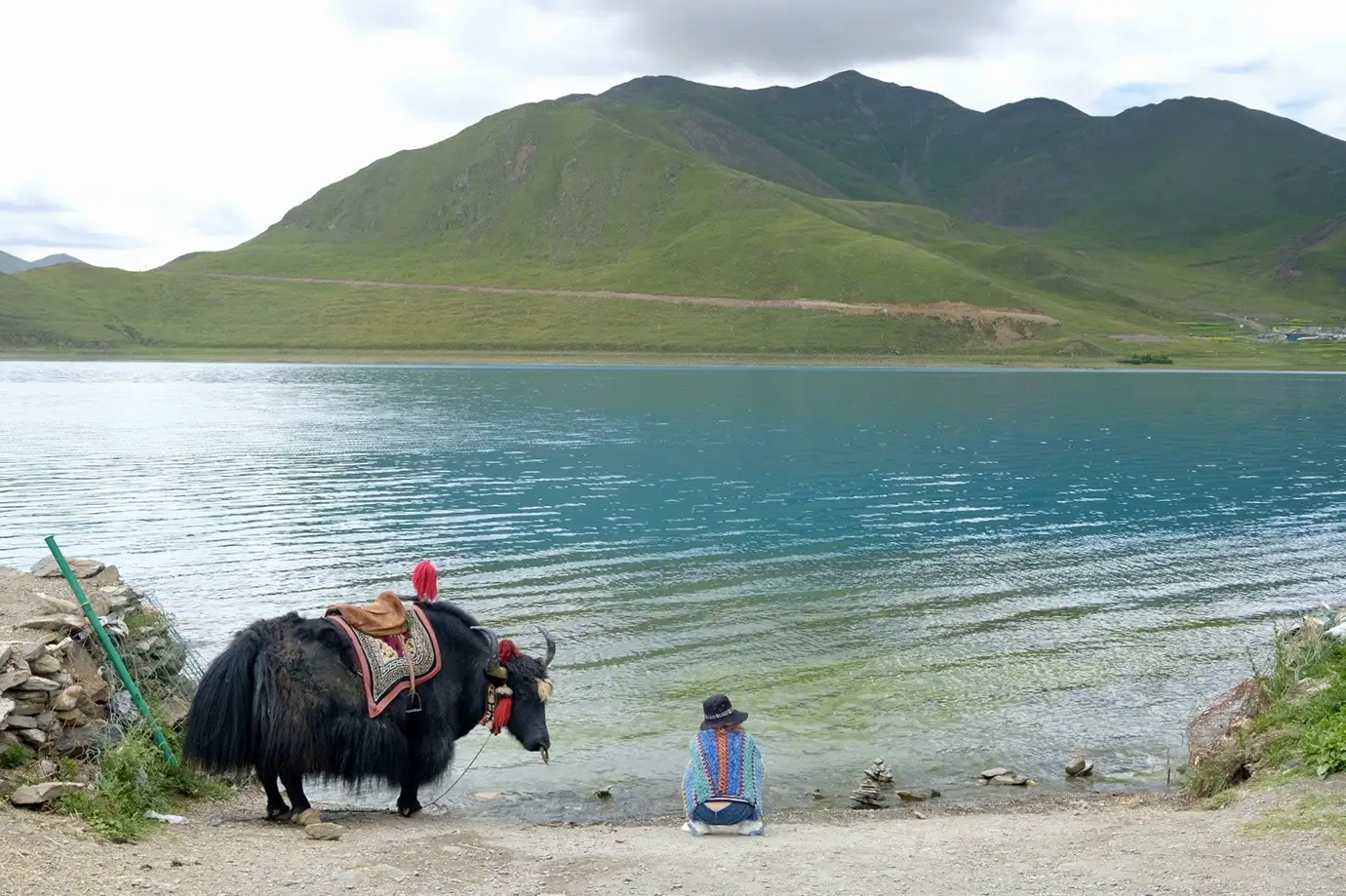 Traveler sits beside a yak near a turquoise alpine lake on the Tibetan plateau, enjoying a peaceful landscape during a Tibet Tour from Singapore.