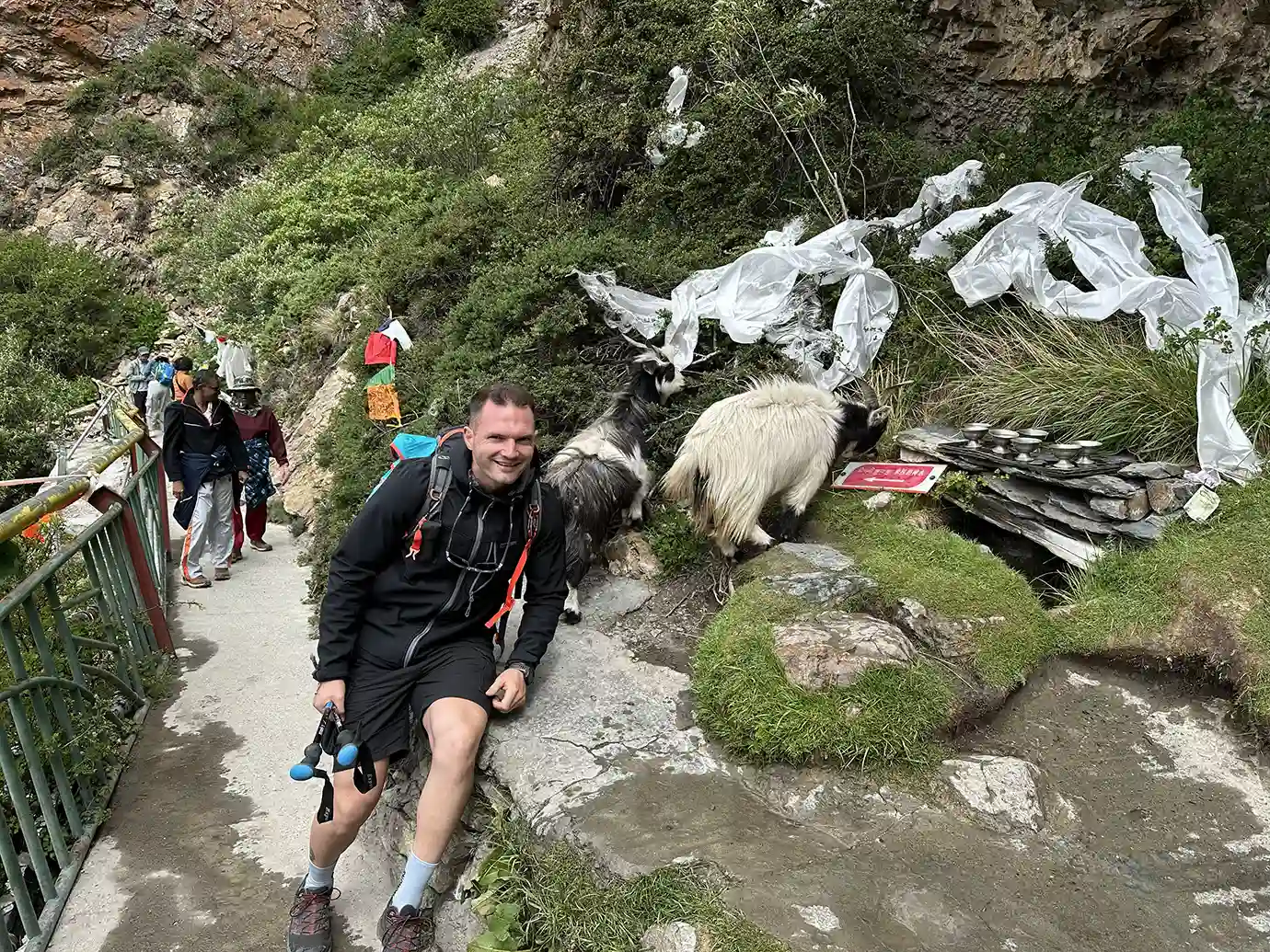 Traveler resting on a mountain trail beside goats during a Tibet Tour Safety hike in a remote high-altitude area with narrow paths and changing weather.