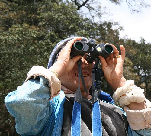 A local guide in traditional clothing uses black binoculars to spot rare species during a professional Bhutan bird watching tour in a lush forest.