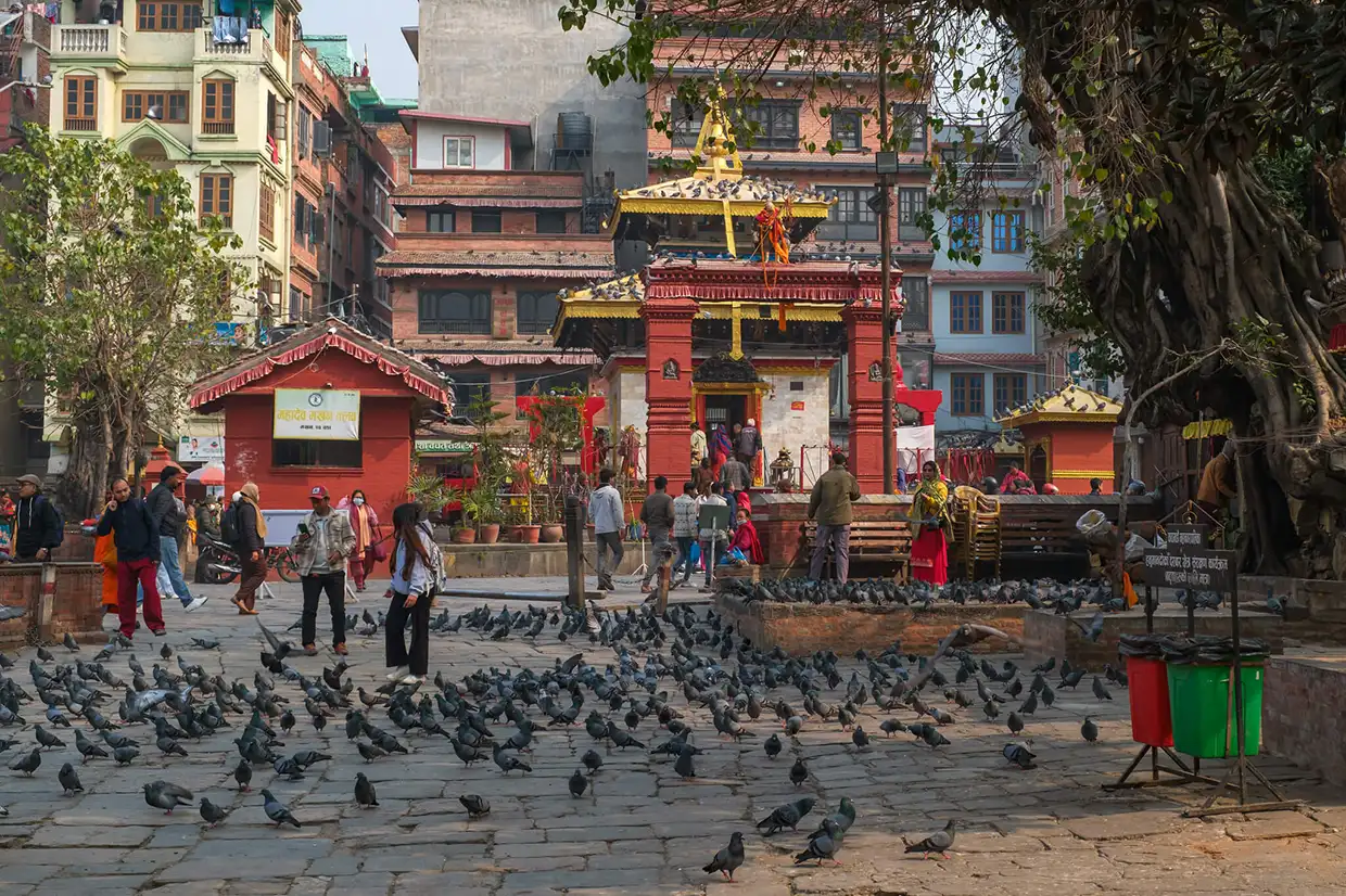 A historic red temple stands in a busy Kathmandu square filled with pigeons and local visitors. This cultural site is a must-see on a 2-week Nepal itinerary.
