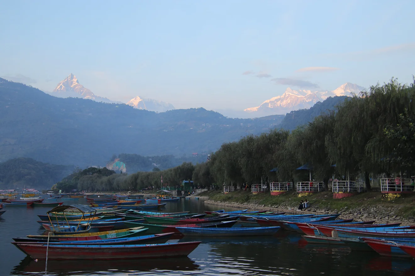 Colorful wooden boats float on Phewa Lake in Pokhara with the snowy Annapurna peaks in the distance, a highlight of a Nepal Itinerary for 7 Weeks.