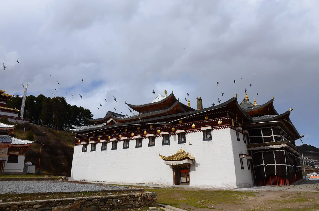 Birds fly over the traditional tiered roofs of Ura Lhakhang temple in the high-altitude Ura Valley during a Bumthang Cultural Trek and Tour.