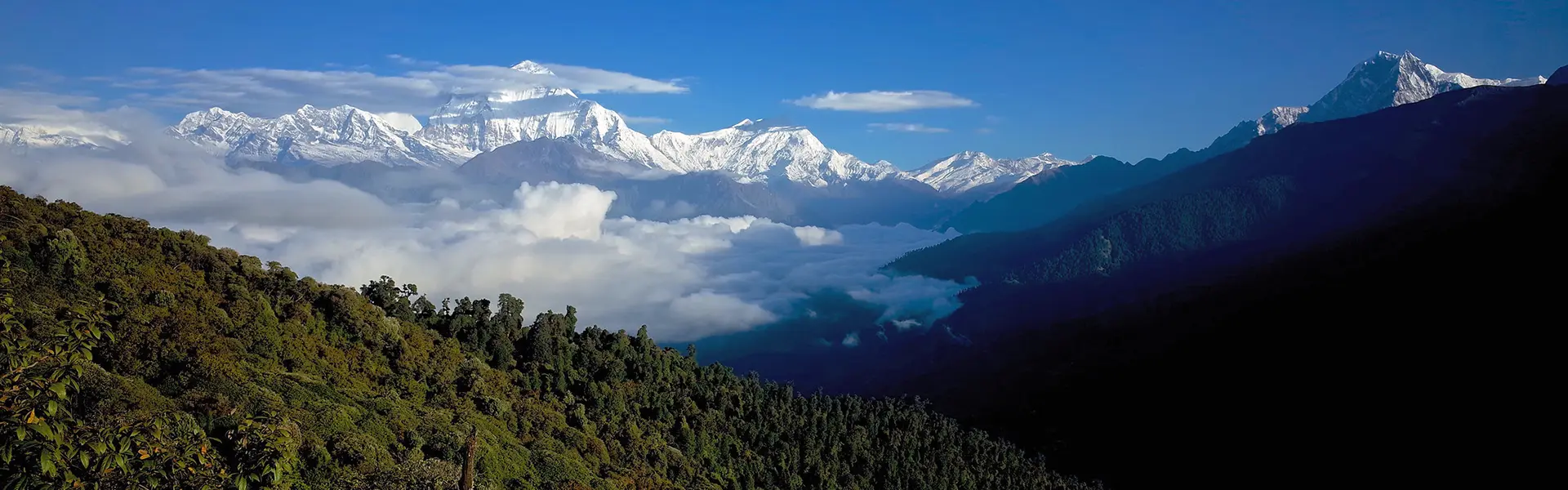A panoramic view of snow-capped Himalayan peaks rising above a thick sea of clouds and lush green forests, essential for any Nepal Hiking Permits Guide.