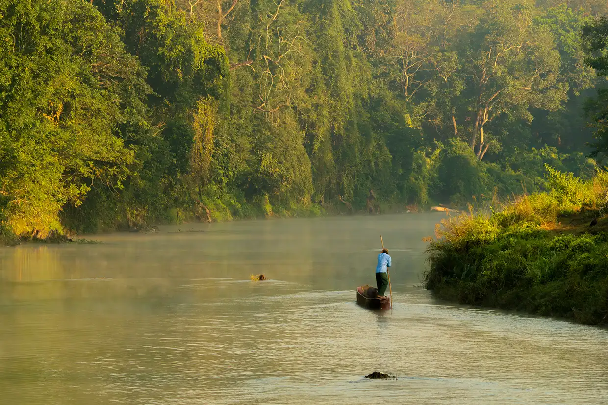 A man steers a traditional dugout canoe through the misty Rapti River at sunrise, surrounded by lush jungle, as seen in a Chitwan Travel Guide.