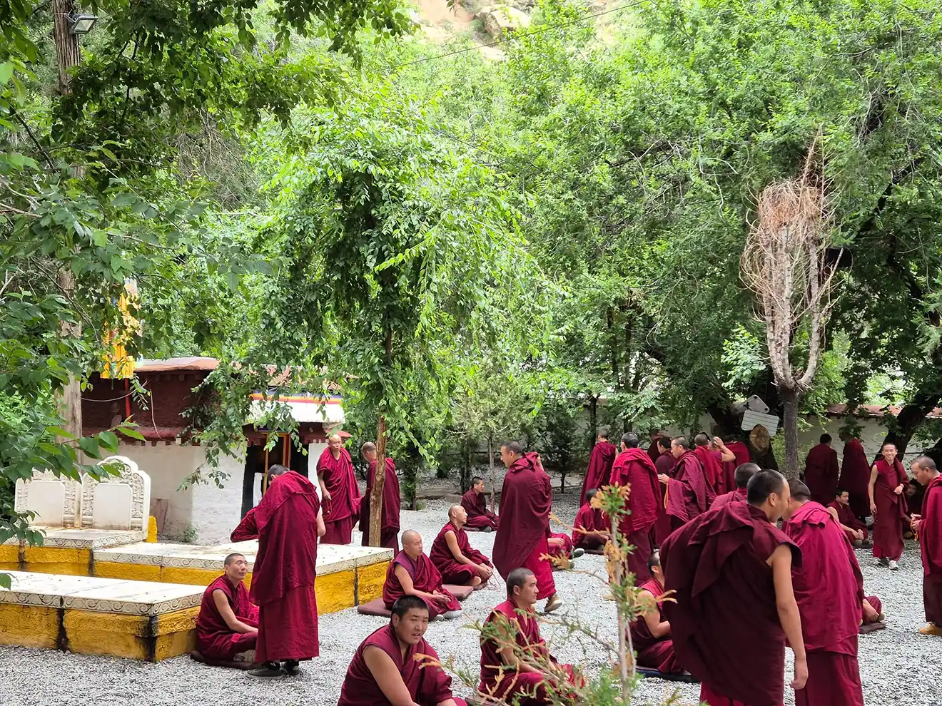 Several Tibetan monks in maroon robes gather on a gravel courtyard in a lush garden to debate, a cultural highlight during a Lhasa to Kathmandu Overland Tour.