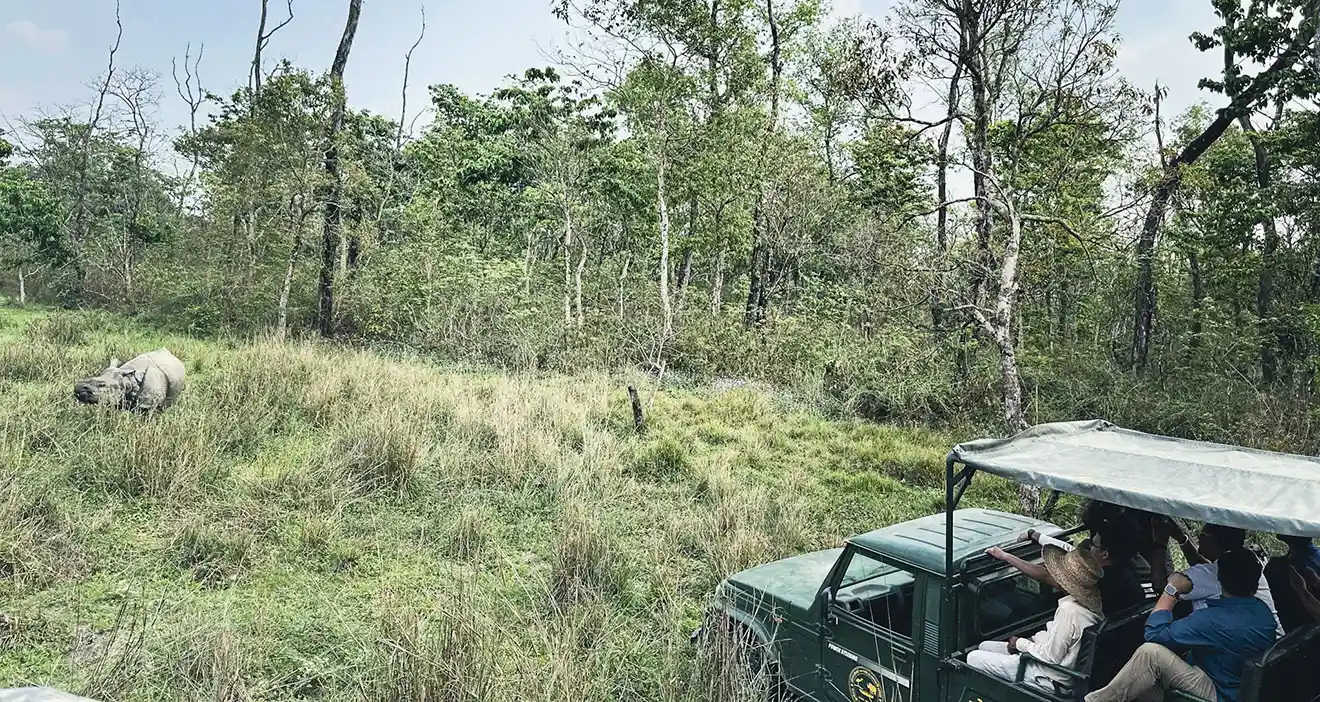 A high-resolution wildlife photo showing tourists on a jeep safari in Chitwan National Park, watching a rhinoceros graze in the grass. Include this experience on your 7-Day Nepal Itinerary.