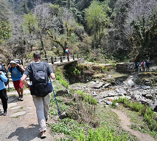 Trekkers with heavy backpacks walk along a sunlit mountain trail toward a stone bridge. This lush forest setting represents the best time for hiking in Nepal.