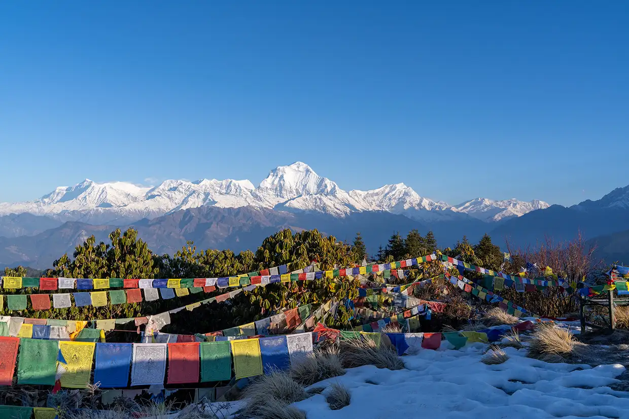 Colorful Buddhist prayer flags flutter in the wind at the Poon Hill summit, overlooking the snow-capped Dhaulagiri range during a scenic 2-week Nepal itinerary.