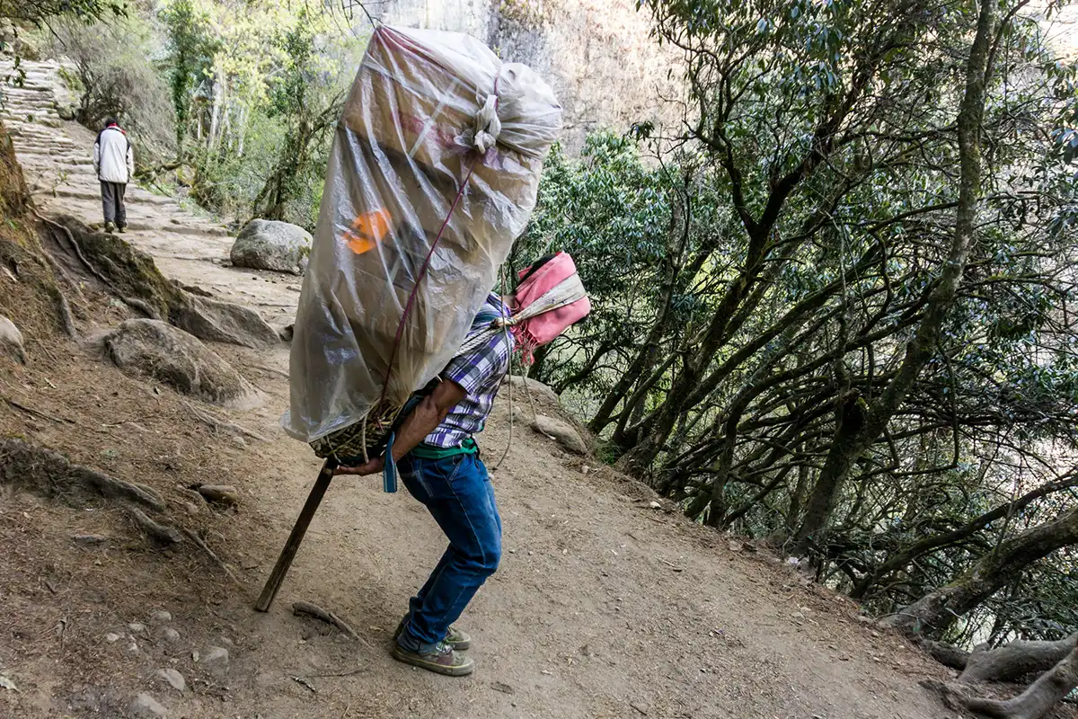 A porter carries an incredibly heavy and tall load, wrapped in plastic, up a steep and narrow mountain trail in the Himalayas. This vital service is essential for any adventurer consulting a Nepal Travel Budget Guide.