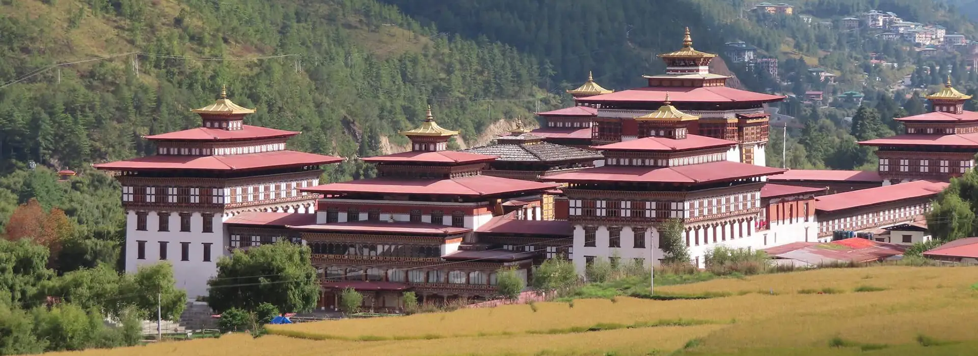 A panoramic view of the majestic Tashichho Dzong fortress in Thimphu, surrounded by golden fields and green mountains during a Western Bhutan Exploration.